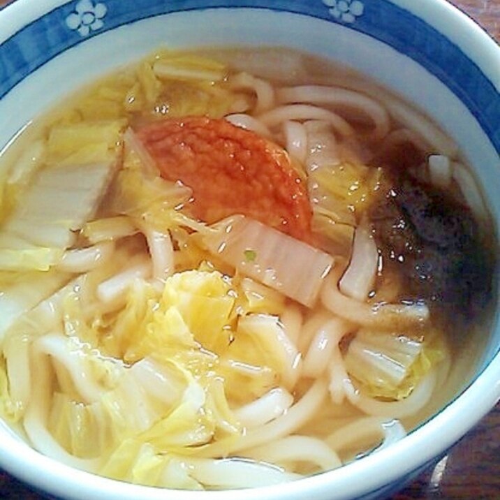 白菜と丸天のうどん